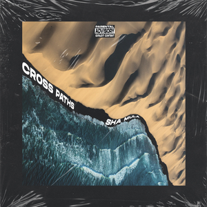 乌龟录像国际黄色三级片
