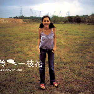 乌龟录像国际黄色三级片
