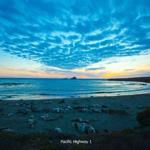 乌龟录像国际黄色三级片
