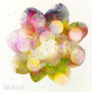 乌龟录像国际黄色三级片
